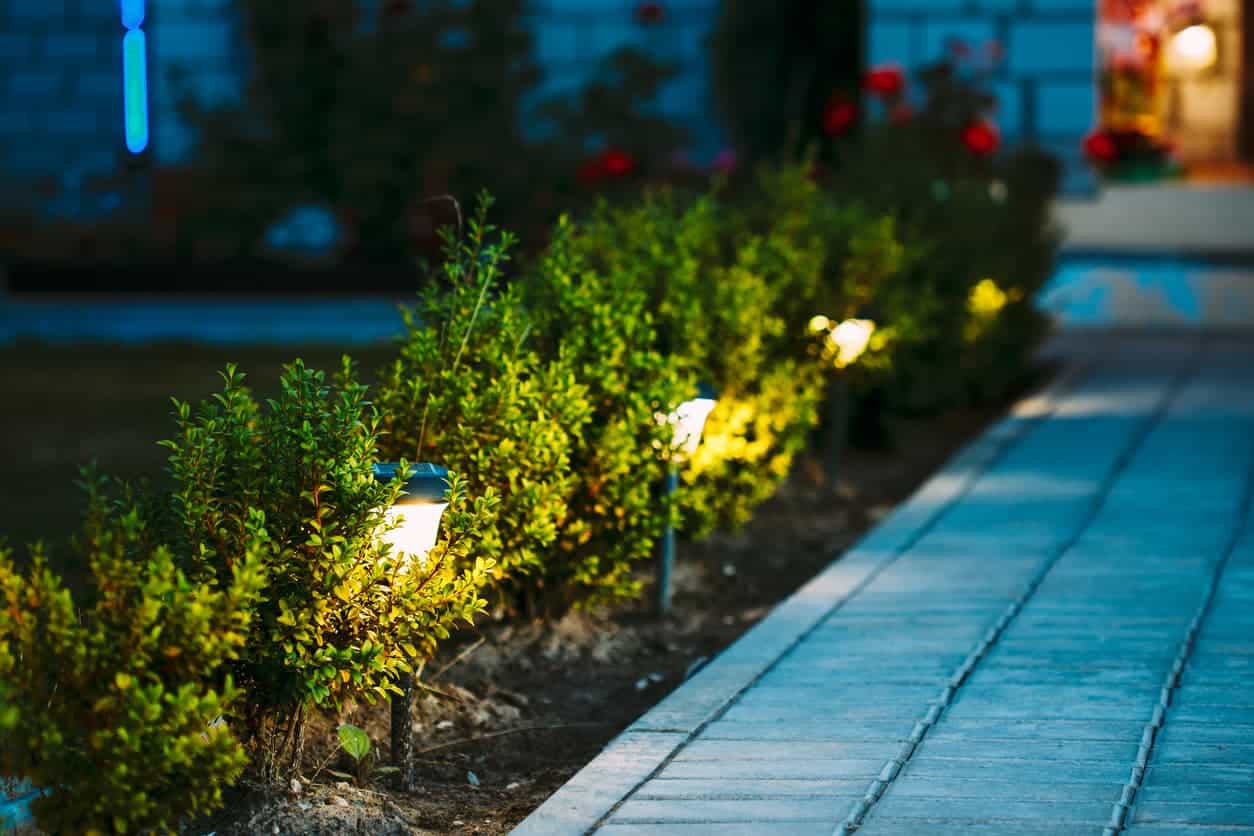 Solar pathway lights illuminating garden shrubbery outside on a paved walkway at night, creating a welcoming outdoor ambiance.